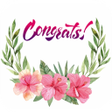 Icono de programa: Congratulation Greetings …