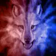Icon of program: killer wolf forest simula…