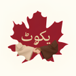 Icon of program: Yikvot