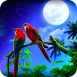 Icon of program: Parrot Wallpaper Best 4K