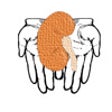 Icon of program: Kidney Transplant Donor R…