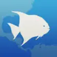 Icon of program: Fishlist: Caribbean