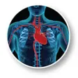 Icon of program: Heart Surgery Guide