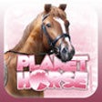 Icon of program: Planet Horse