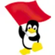 Icon of program: Red Flag Linux Desktop