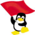 Icon of program: Red Flag Linux Desktop
