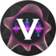 Icon of program: ViPER4Android Fx