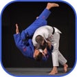 Icon of program: Judo in brief