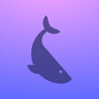 Icon of program: Allegory
