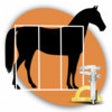 Icon of program: Horse Conformation