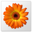 Icon of program: Artweaver Plus
