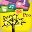 Icon of program: FilesOnTree Pro - Tree Fi…