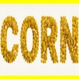 Icon of program: CORN