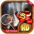 Icon of program: Free Hidden Object : The …