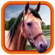 Icon of program: Virtual Horse Run