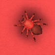 Icon of program: Tarantula Hologram HD