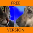 Icon of program: Pet Detector Free Version