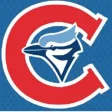 Icon of program: CT Blue Jays