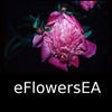 Icon of program: Wildflowers of Europe and…