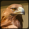 Icono de programa: Eagle Hunting Journey (Ea…