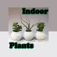 Icon of program: Indoor Plants
