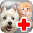 Icono de programa: Kids Pet Vet Doctor