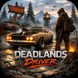 Icon of program: D.e.a.d Lands Driver Open…