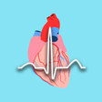 Icon of program: Dr ECG