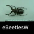 Icon of program: Beetles of the World - eB…