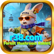 Icon of program: r38.comForest Mushroom Ra…
