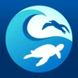 Icono de programa: Clean Swell
