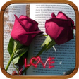 Icon of program: roses love roses with lov…