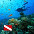 Icon of program: Scuba Diving World