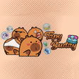Icono de programa: TapyBuddy