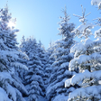 Icono de programa: Winter Sound comfortable …
