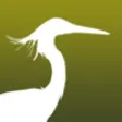 Icon of program: HKcBirds: Common Birds of…