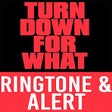 Icono de programa: Turn Down for What Ringto…