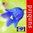 Icono de programa: Wildflower Id USA Photo R…