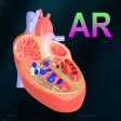 Icon of program: AR Heart - An incredible …