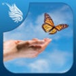 Icon of program: Free ME : A Meditation an…
