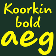 Icon of program: Koorkin Bold FlipFont