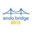 Icon of program: EndoBridge 2015