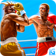 Icon of program: Boxing Manager 2018 - Fig…