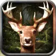 Icon of program: Deer Predator 3D Animal H…