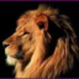Icono de programa: CaptureScreen