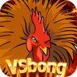 Icon of program: VSbong Spin Colors in Sab…