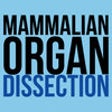 Icon of program: Mammalian Organ Dissectio…
