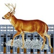 Icon of program: Deer Call Mixer