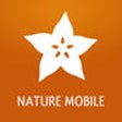 Icon of program: Exotic Fruits and Vegetab…