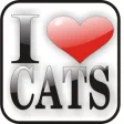 Icon of program: I Love Cats Doo-Dad